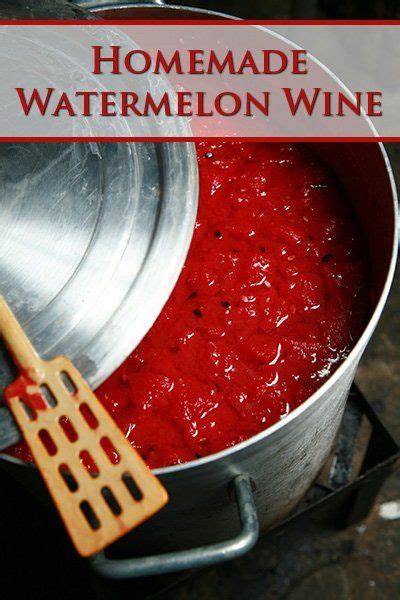 Homemade Watermelon Wine Recipe - Celebration Generation | Fruit wine recipes, Wine recipes ...