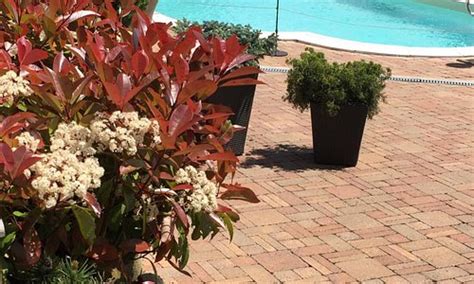 toano italy   places  visit tripadvisor