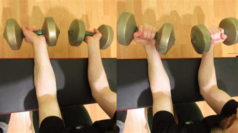 How To Do Dumbbell Wrist Curls for Your Forearms