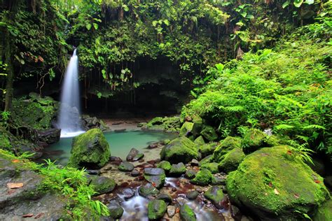 Dominica Photo Gallery | Fodor’s Travel