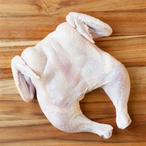 frozen chicken wholesale price mandi rate  frozen chicken