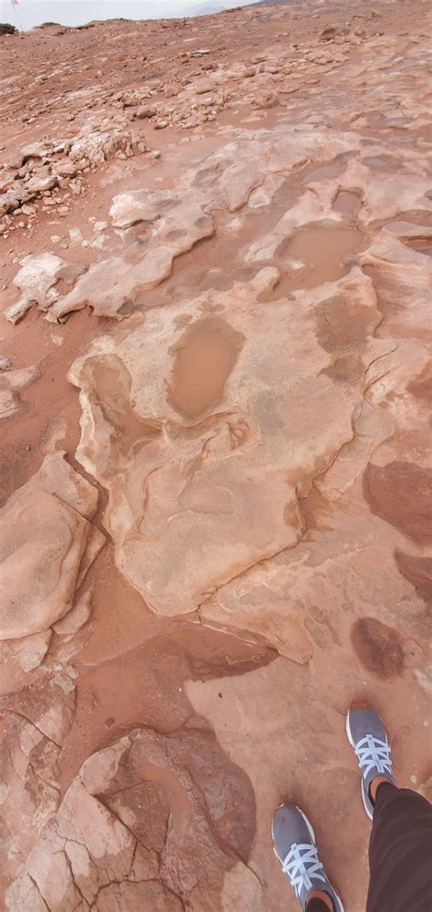 Moenave Dinosaur Tracks