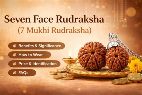face rudraksha  mukhi benefits price   wear