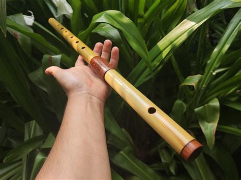 bamboo transverse flute  part bamboo  rosewood flute