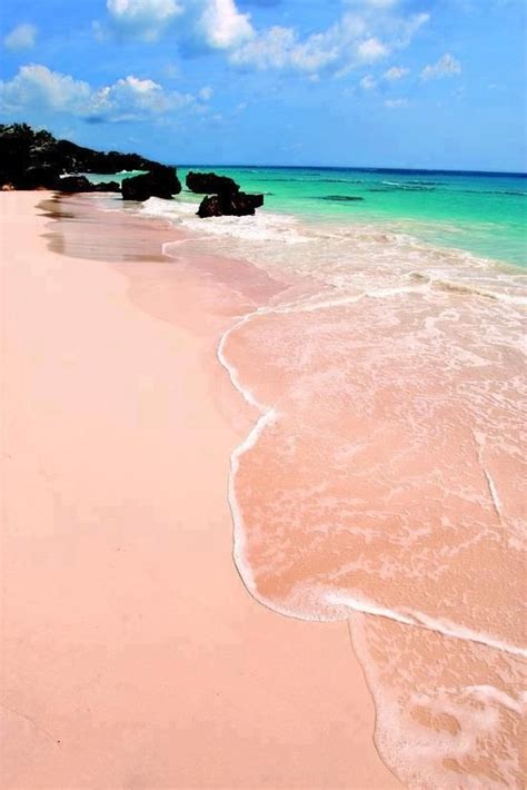 Beautiful Beach Resort: Pink Sand Beach, Bermuda - Wonderphul.com