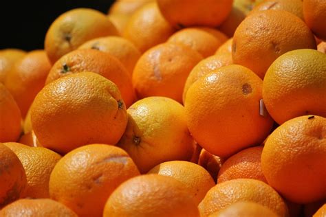 Tout savoir sur l’orange : Astuces, variétés et bienfaits