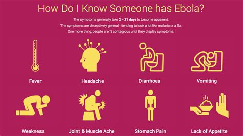 Symptoms of Infection - VIRUS PROJECT: EBOLA