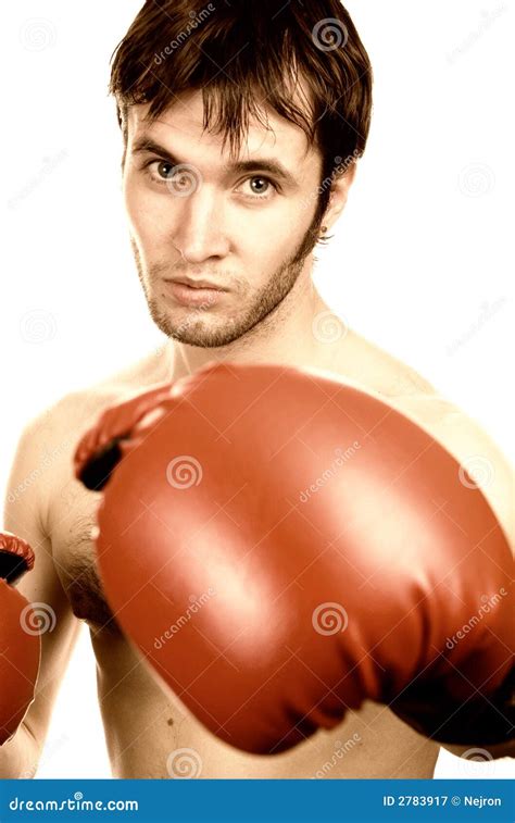 Young Boxer Stock Image | CartoonDealer.com #24995869