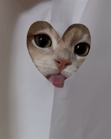 Роксана Фролова (@roksi_boss) • Instagram photos and videos