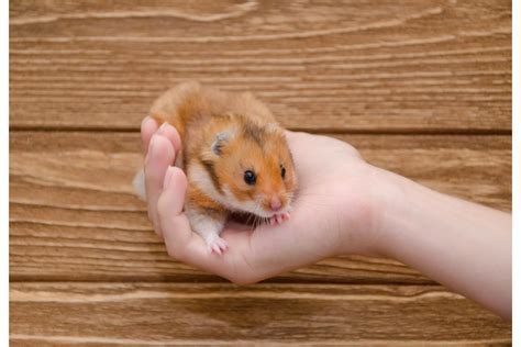 Doctors answer patients asking why is my thumb shaking so much