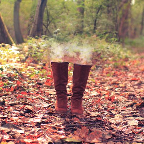 documentary   dream  behance