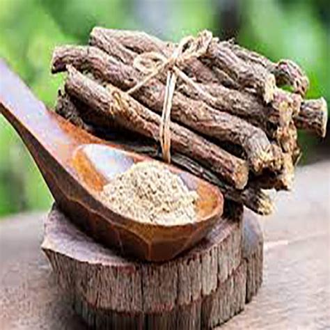 licorice root age group  adults   price  chhatarpur