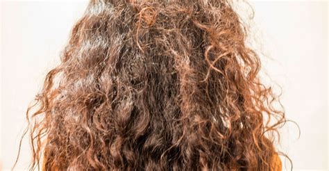 Cabelo Aspero E Poroso