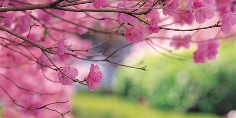shifting  spring  satisfaction huffpost