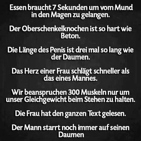 kurze lustige zitate urkomische zitate zitate lustig