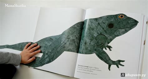 Книга: Сравни! Животные в натуральную величину - Стив Дженкинс. Купить ...