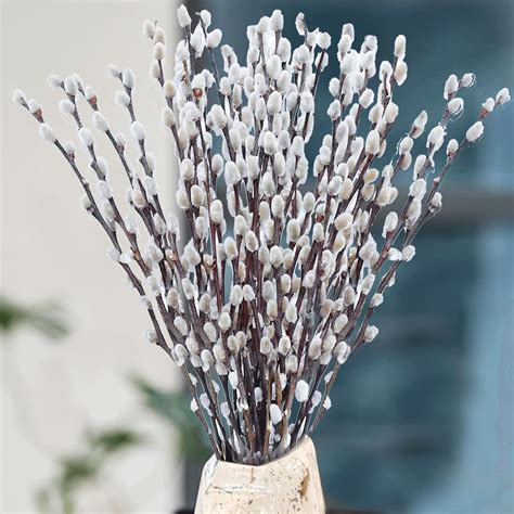 Amazon.com: Oning 30 Stems Real Dried Pussywillow Preserved Greenery