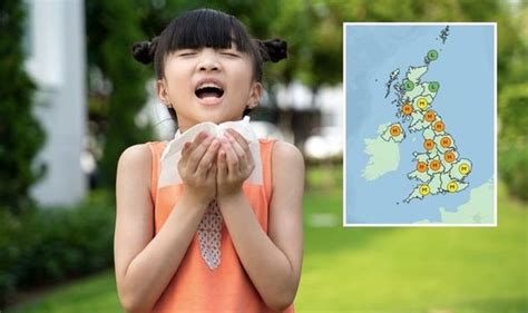 Pollen count: 'Pollen explosion' hits Britain in hay fever boom - is your area affected ...