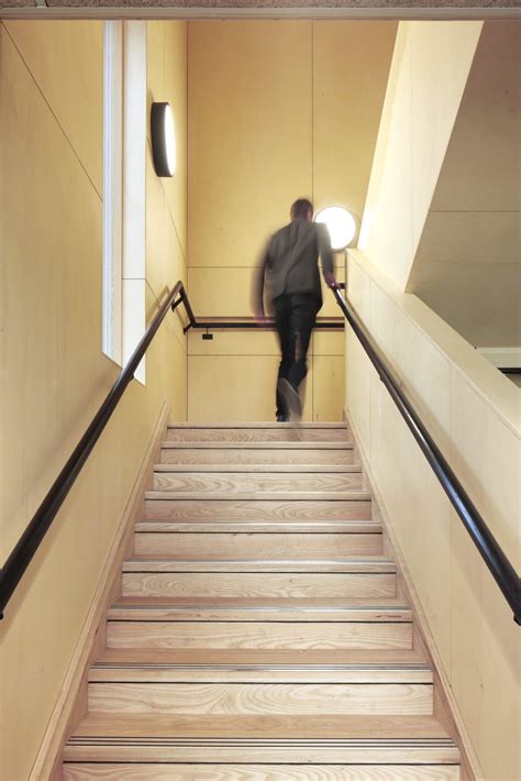 The rare wildlife spotted yesterday at the beautiful Durley Chine beach 30