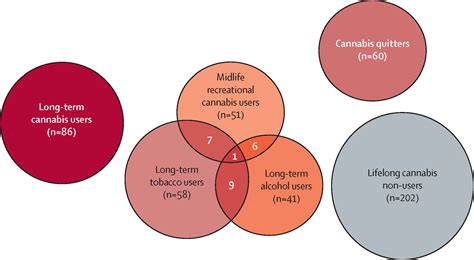 The Unseen Costs: The Railey Diesel Leak and Its Long-Term Effects - udd4ba1