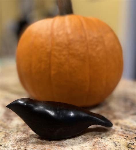 Comfort bird for Halloween : r/woodworking