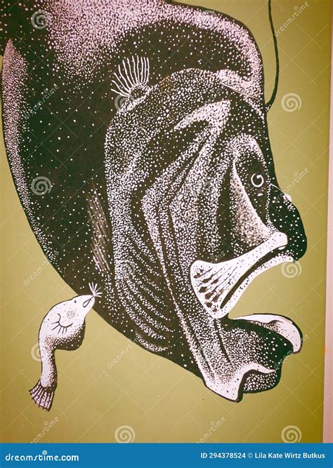 Tiny Tadpole Crawls From Pond On New Legs Stock Photo | CartoonDealer