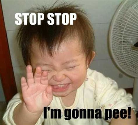 porcellanowamotylica: Funny Pictures