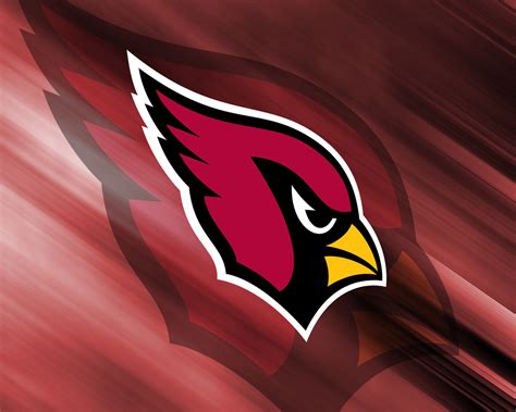 cardinals wallpaper