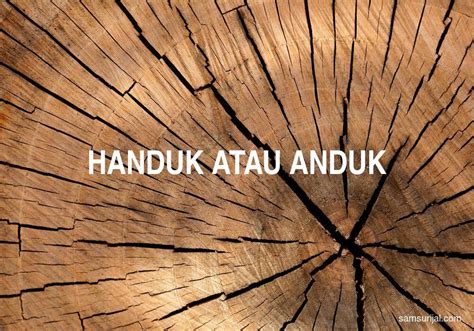 handuk  anduk kamus besar bahasa indonesia kbbi samsurijalcom