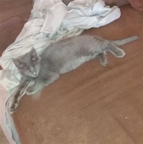 General - Chris McKenna Breaks Down In Tears Over SHOCKING GH Twist