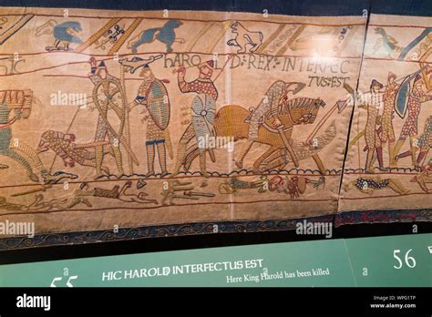Reading museum bayeux tapestry hi-res stock photography and images - Alamy