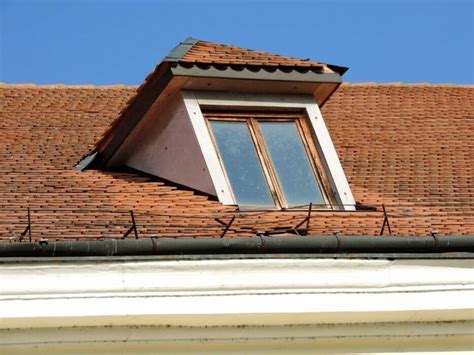 transform  van  window conversions  van squad uk medium