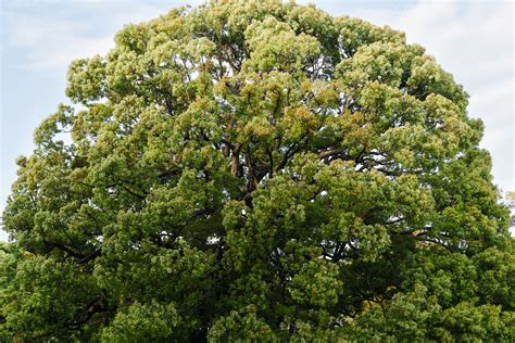 Big Tits Moms Photos, Download The BEST Free Big Tits Moms Stock Photos