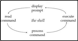 started linux shell scripting language  linuxcom