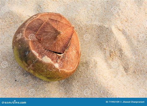 Andaman Beach Royalty-Free Stock Image | CartoonDealer.com #1419490