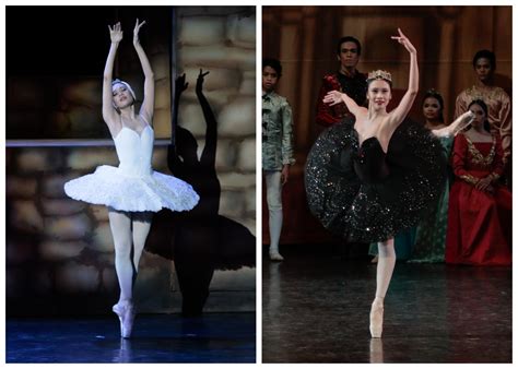 Swan Lake Black Swan