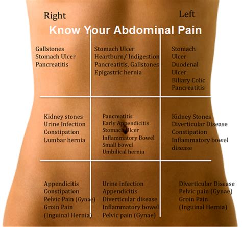 Albums 101+ Pictures Pain In The Upper Right Quadrant Of The Abdomen Sharp