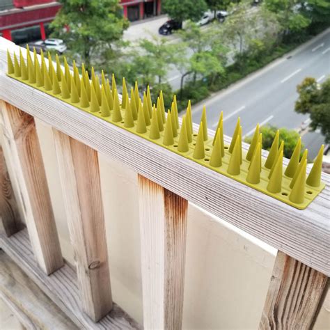 Bird Spikes Bird Deterrent Spikes For Small Birds Pigeon-Squirrel