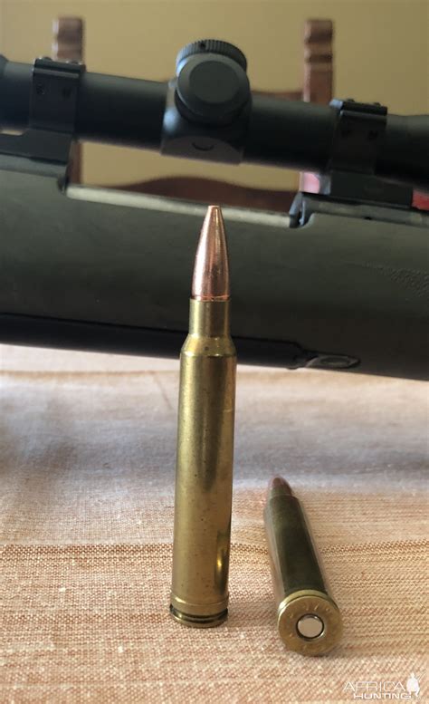 mm rem mag bullet africahuntingcom