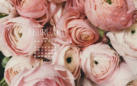 february wallpaper 2025 12