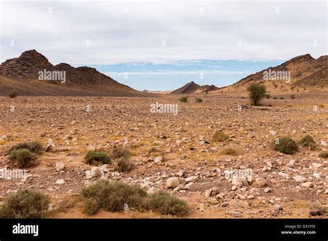 desert landscape Morocco Stock Photo - Alamy