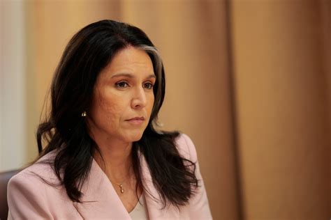 Tulsi Gabbard news, photos, videos – USA TODAY
