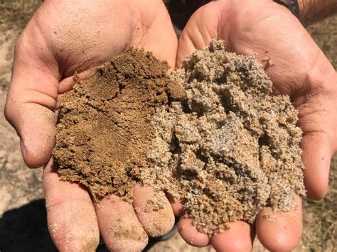 silt Archives | SoilSensor.com