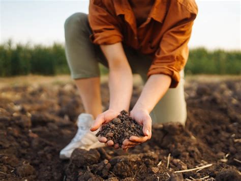 Silt Soil Characteristics And How It Affects Plants | Gardening Know How