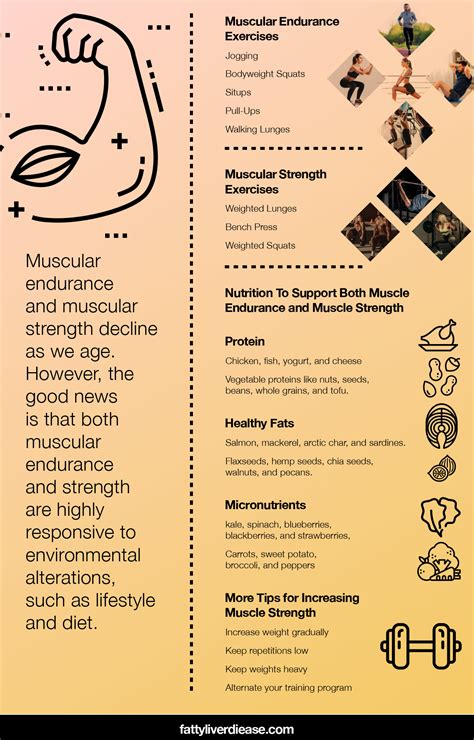 Muscular Endurance Exercises | Fatty Liver Disease