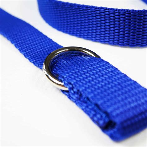 Dog Slip Lead with Stop | Peak Paws & Hooves