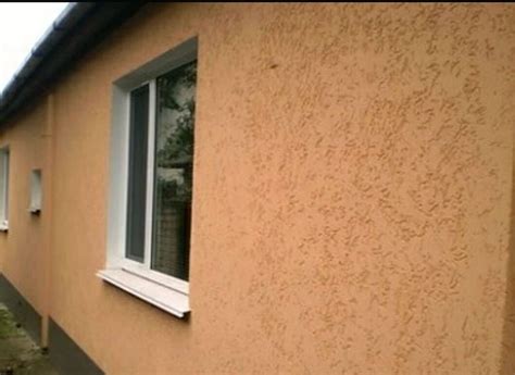 Короед картинки (38 фото)