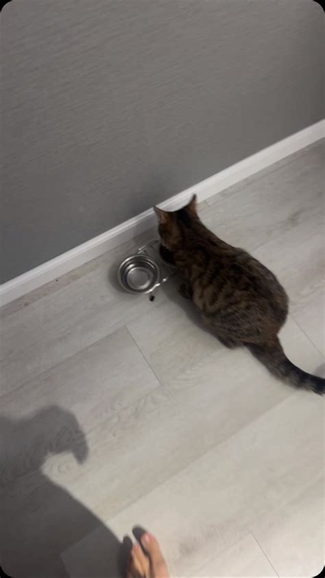 Ivanova Svetlana | @vi.vaaaaa | Instagram