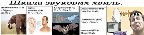 ТАБЛИЦЯ ФОРМУЛ "9 клас