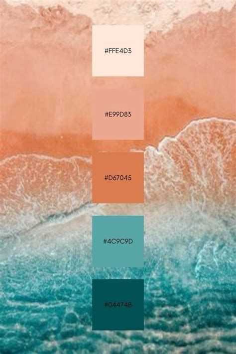 bus color scheme ideas color color palette design color schemes